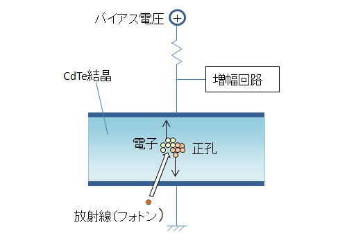 CdTe放射線検出素子について